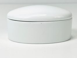 Elegante LIMOGES Porzellan-Schmuckdose – Oval mit Deckel