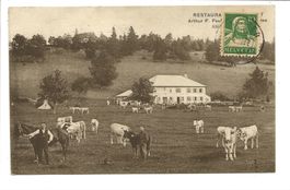 Landwirtschaft - Bauer - Pferd - Kühe - Restaurant NE 1922