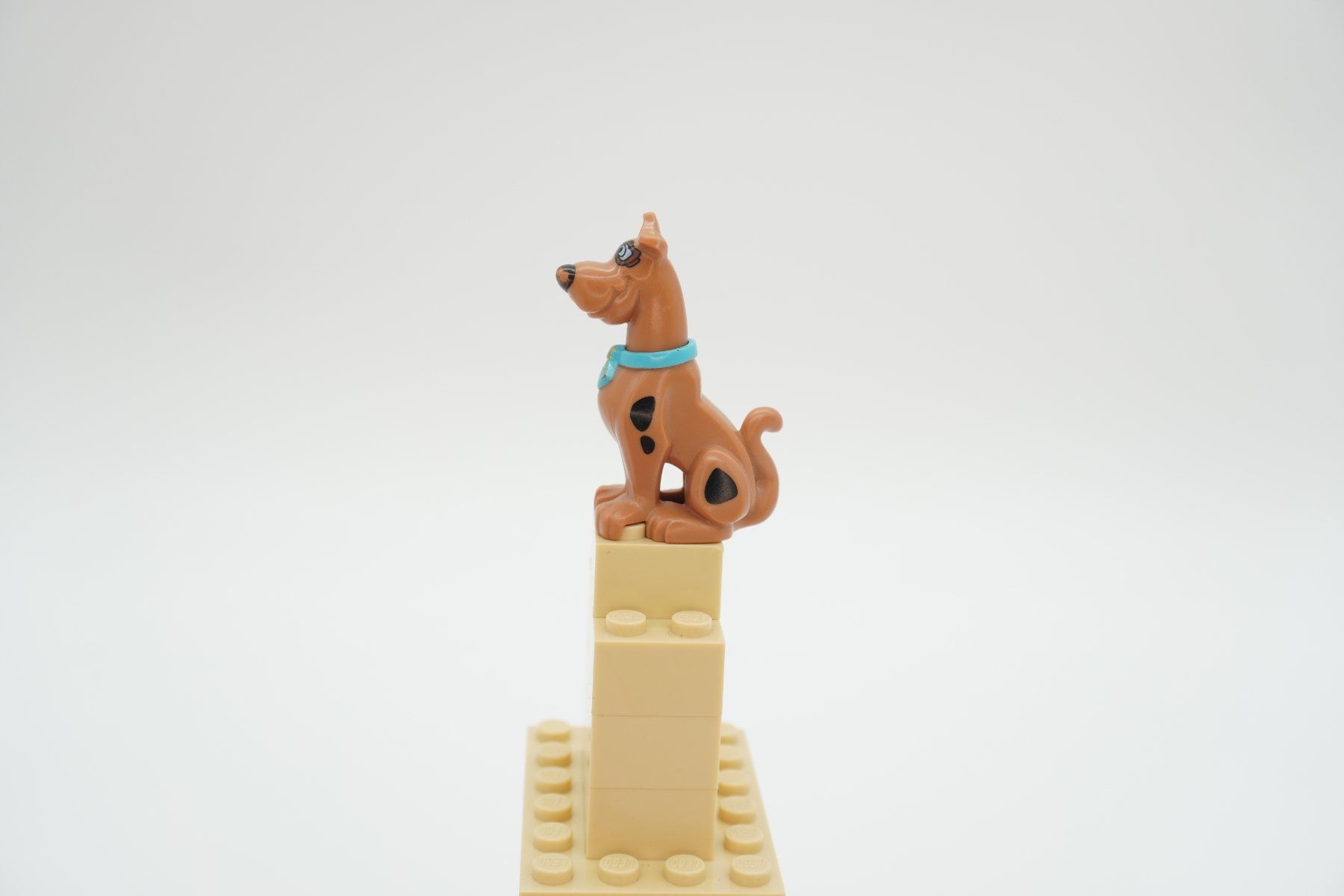 Lego Giocattoli: Lego Great Dane Scooby-Doo - 20690pb01c01 – Usato da Zürich venduto da PWGrZ 3