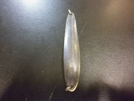 Ancienne Salmo Perle alt