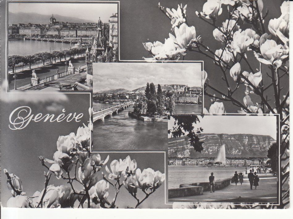 Cartoline postali: Genève 1959 – Usato da Bürglen TG venduto da StampGraf