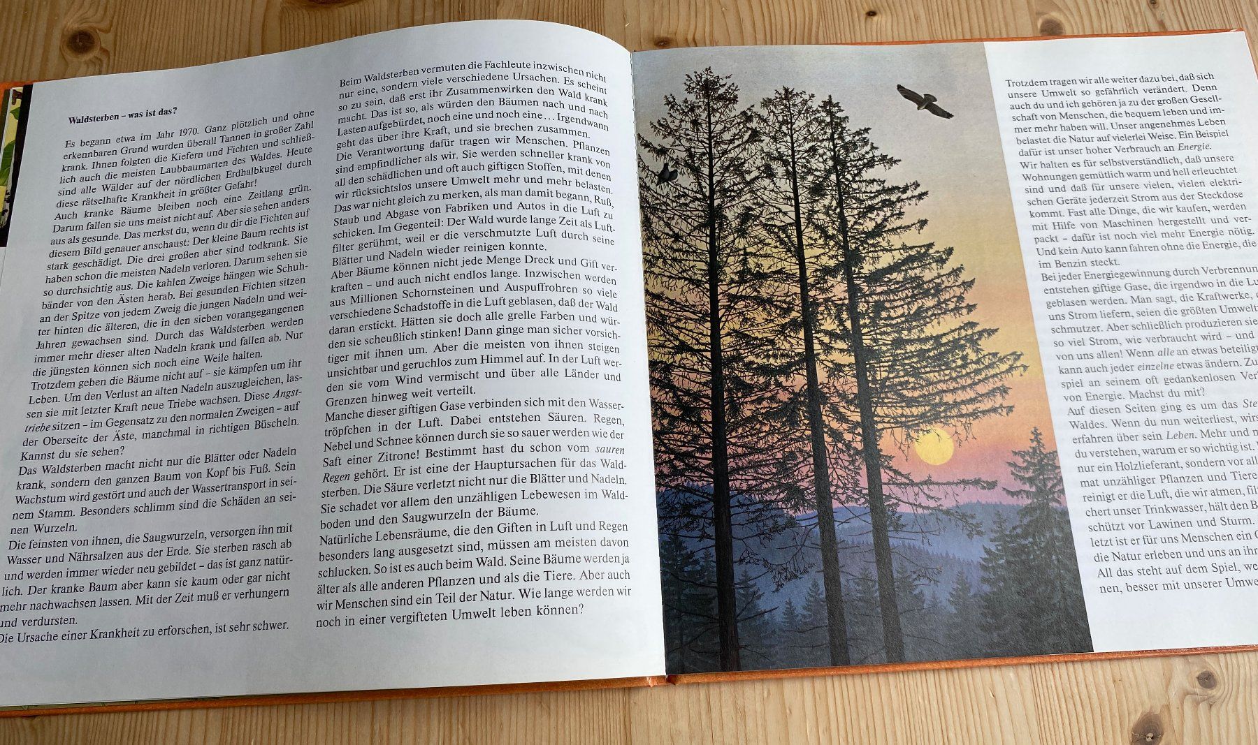Livres: Irmgard Lucht: die Wald-Uhr – D'occasion à Weinfelden par Cheyenne21 5