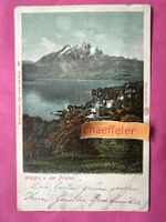 1903 Weggis und der Pilatus