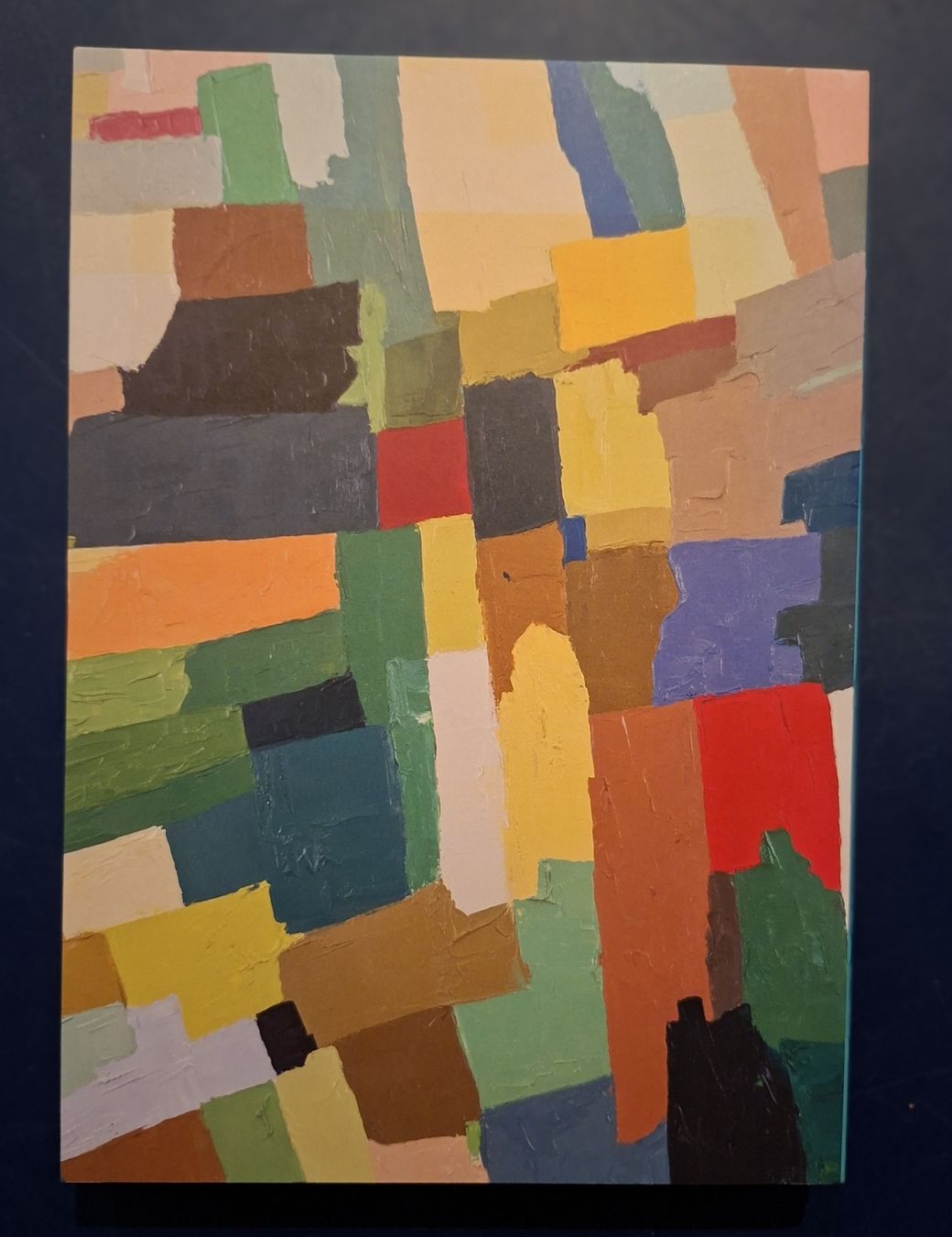 Livres: Etel Adnan Reader, Volume II, Nightboat Books – Neuf (Voir description) à Niederglatt ZH par Siegfried67 1