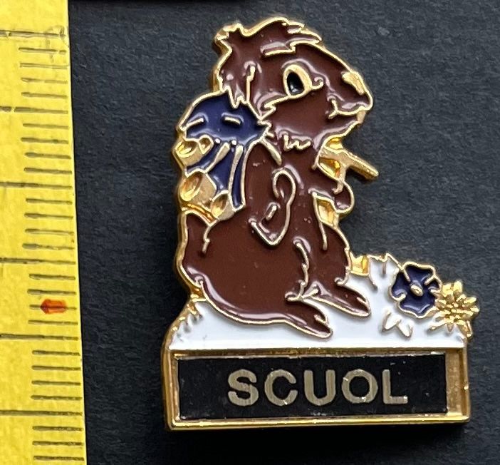 Swiss Placchette & Badge: SCUOL/ Murmeltier / Pin – Usato da Wabern venduto da DaxKarten-75
