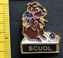 SCUOL/ Murmeltier / Pin
