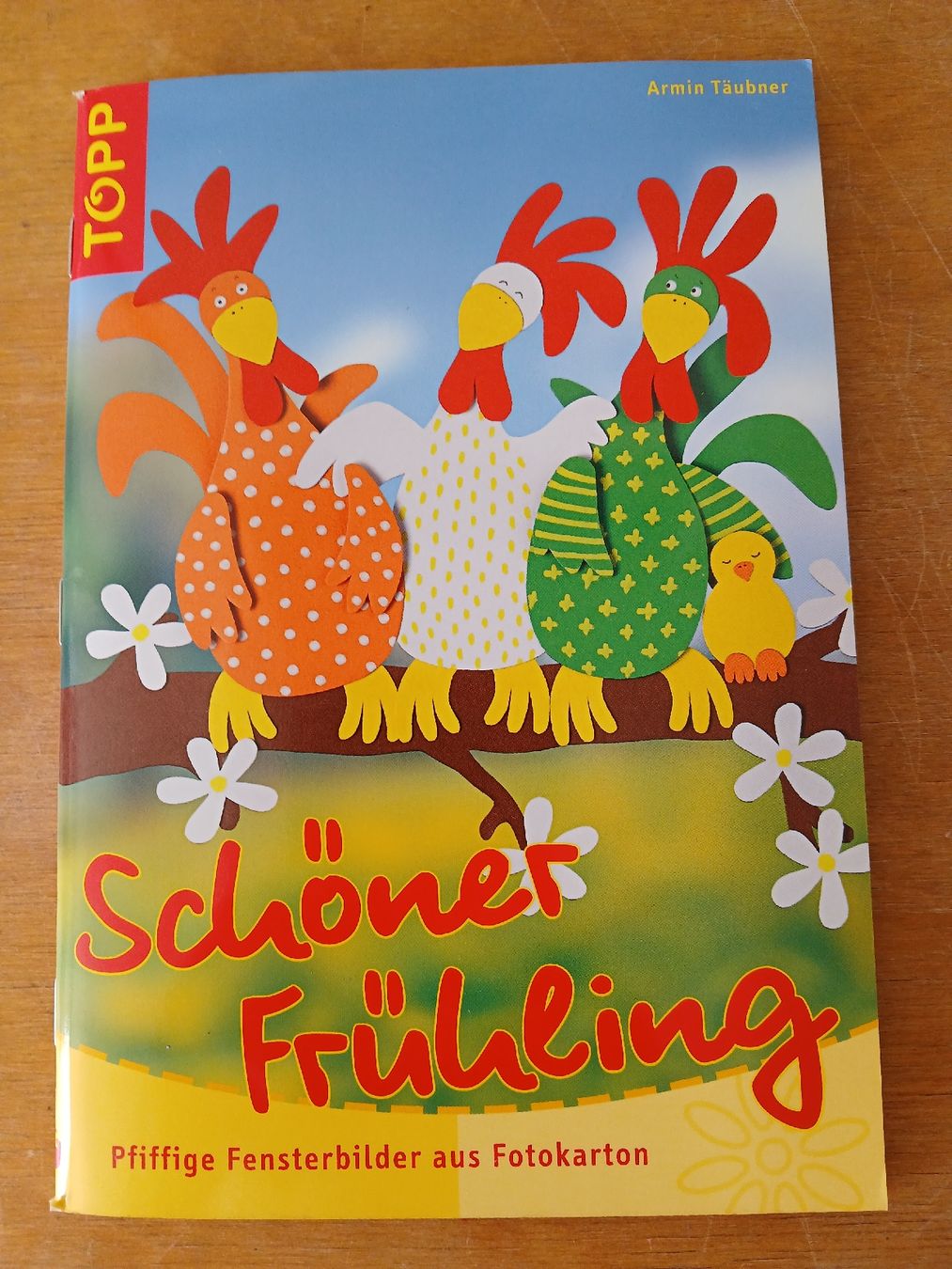 Libri: Bastelbuch  – Usato da Ennetmoos venduto da kch_2tpv