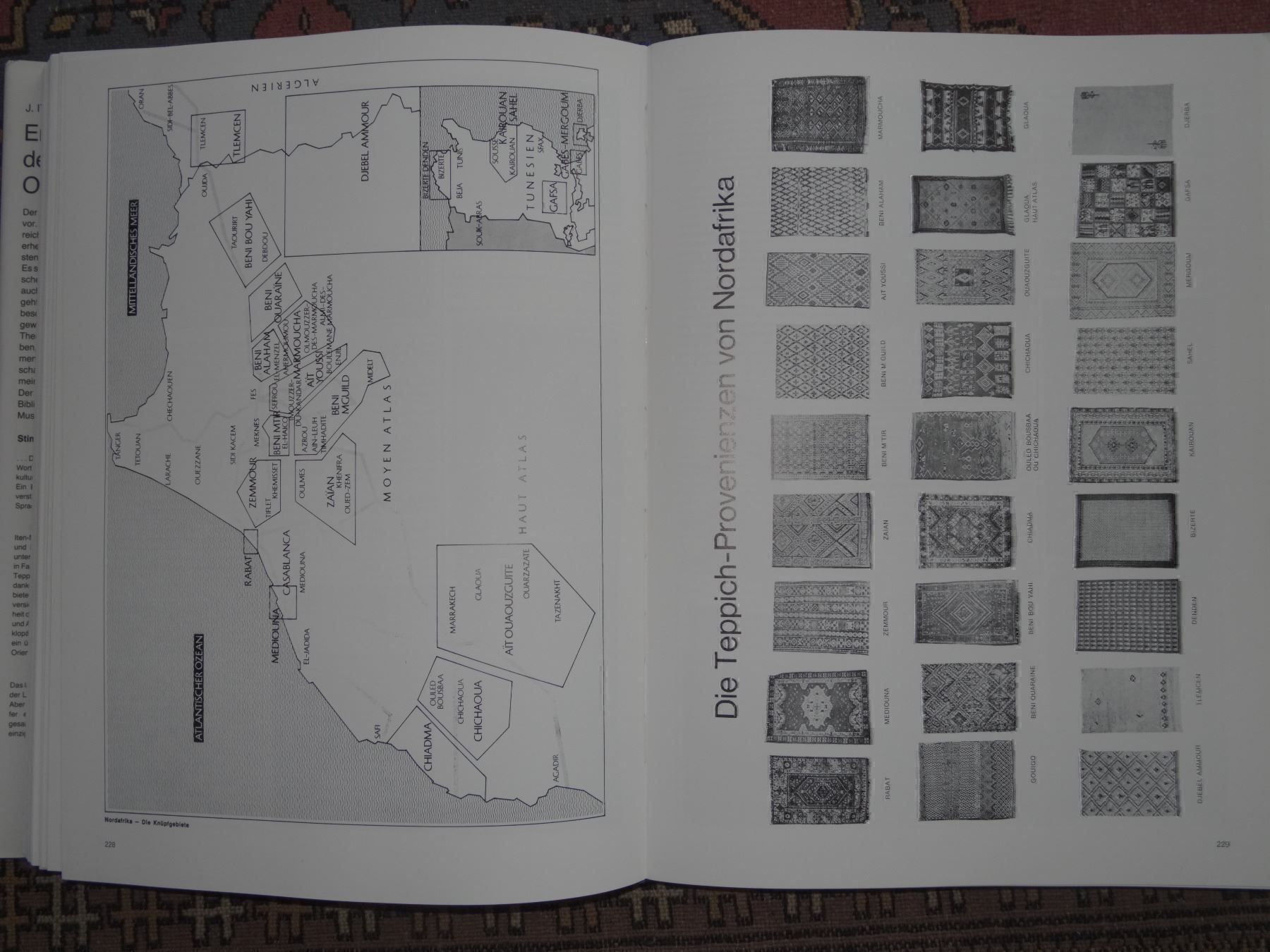Libri: Enzyklopädie des Orientteppichs – Nuovo e nell'imballaggio originale da Arth venduto da malkoush 2