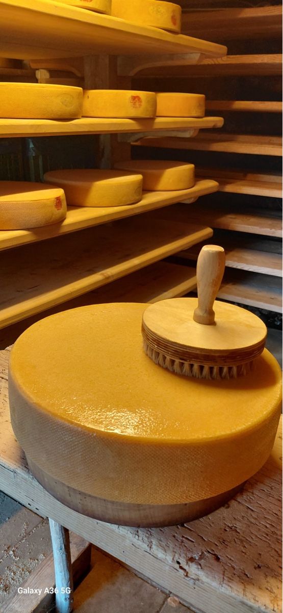 Cibi & Specialità: Alpkäse einjährig , Preis pro Kilogramm – Nuovo e nell'imballaggio originale da Gelterkinden venduto da Aischas