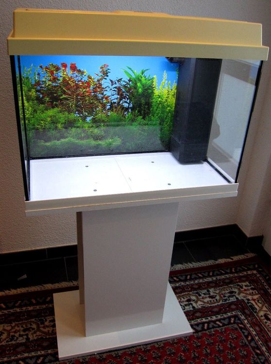 Ontwikkelen Vertrek naar voorkant Aquarium Juwel 60 Liter, Filter, Heizung | Kaufen auf Ricardo