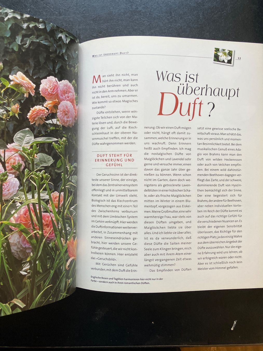 Bücher: Ein Garten der Düfte. H. Urban – Gebraucht aus Wangen ZH von day01 1