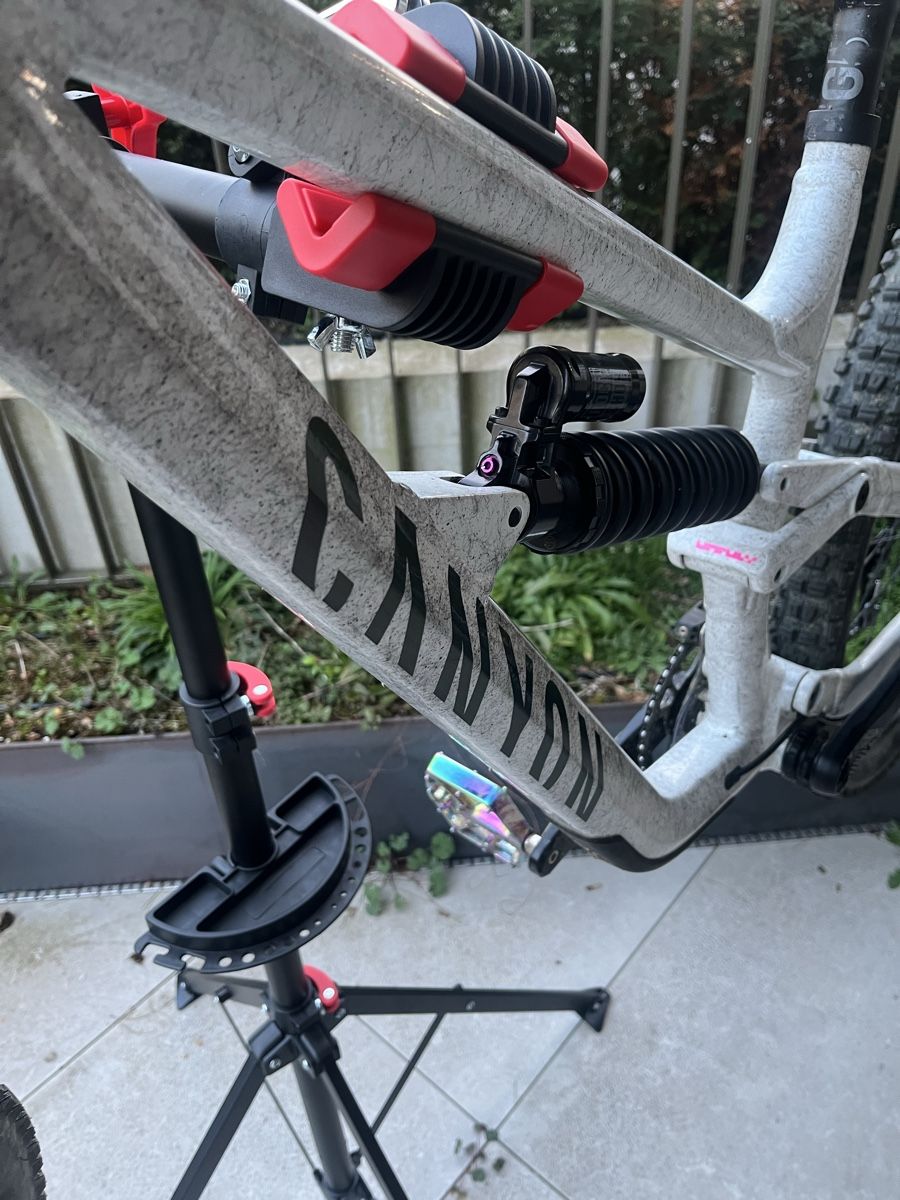 Canyon Biciclette: Canyon Torque dh AL – Usato da Zürich venduto da le_dodo 3