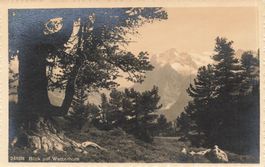 Berner Oberland (BE) – Blick auf das Wetterhorn