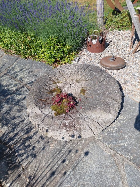 Beton Schale / Blatt Deko Garten Kaufen auf Ricardo