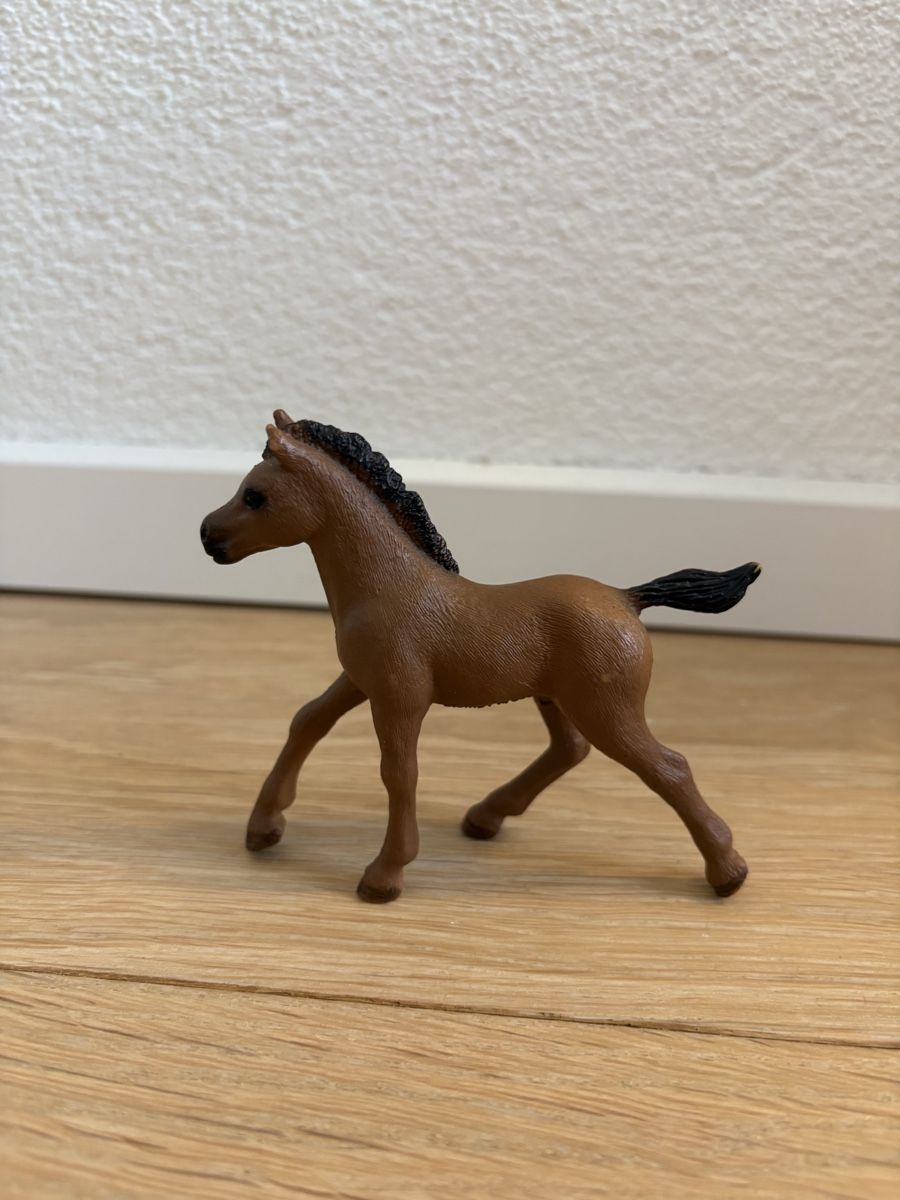 Schleich Jouets: Schleich Fohlen – D'occasion à Thun par sop_thg9