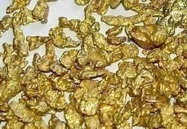 1  GOLD  NUGGET - PAPUA NEUGINEA