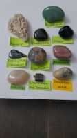 10er Set Trommelsteine mit seltener Koralle weiss: Set 65