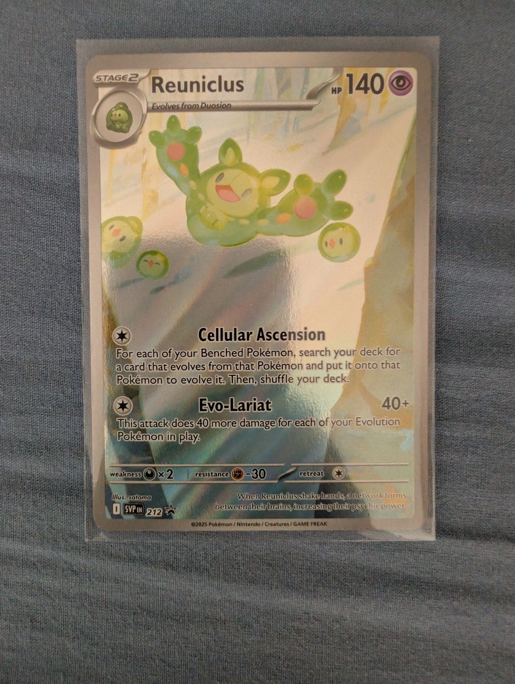 Pokémon Carte collezionabili: POKEMON REUNICLUS BLACK STAR PROMO S&V – Nuovo (secondo la descrizione) da Basel venduto da Master-Ball