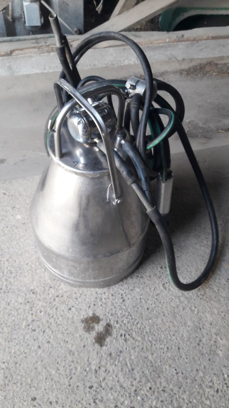 Westfalia Tutte le macchine: Melkmaschine Wesfalia nummer 1 – Usato da Laufen venduto da Mann455 1
