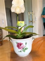 Blumentopf Porzellan Bavaria Alboth & Kaiser Antik