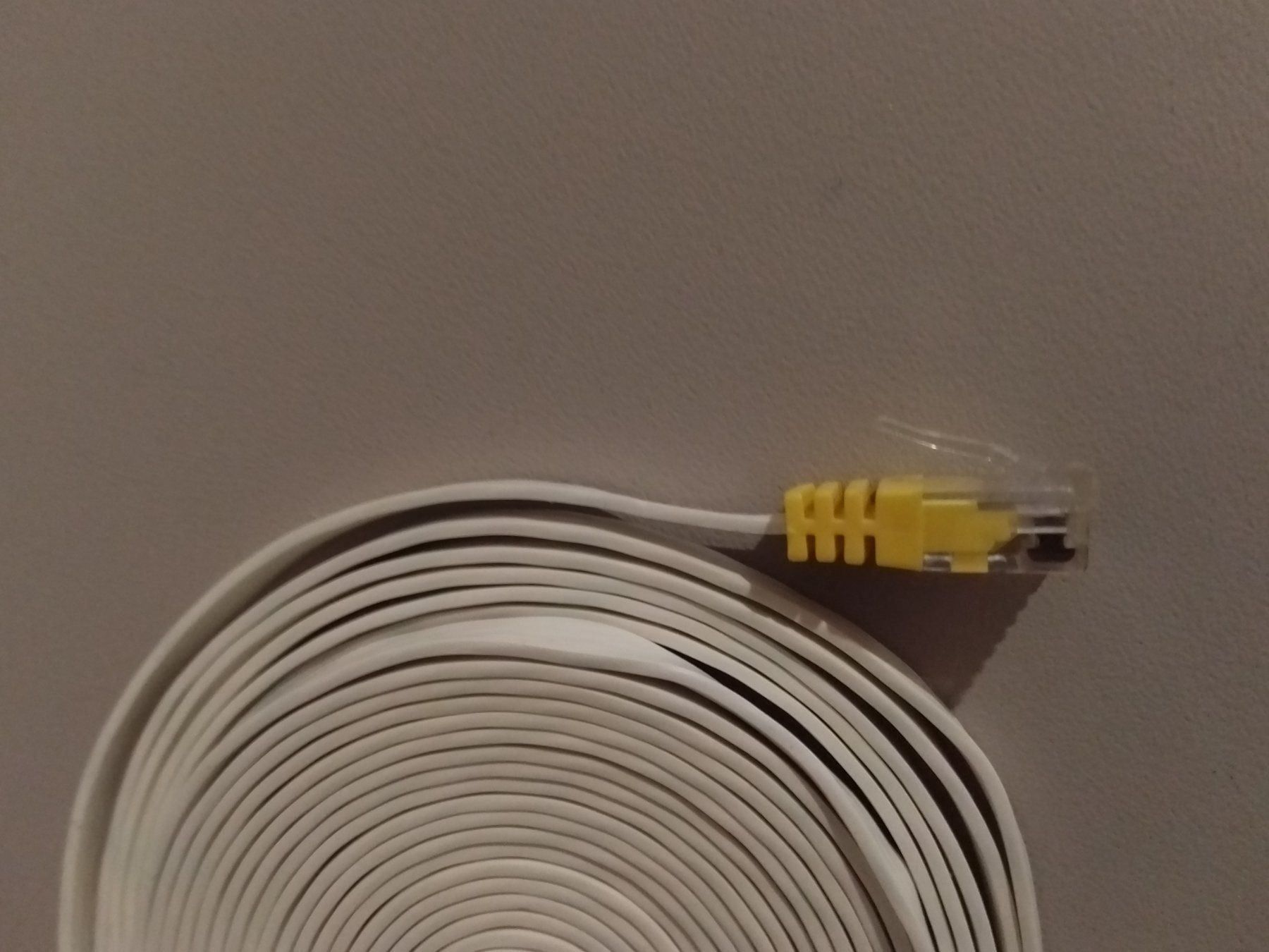 Cavi: Cavo ethernet - piattina - 5 metri – Nuovo (secondo la descrizione) da Porza venduto da ulletta1 3