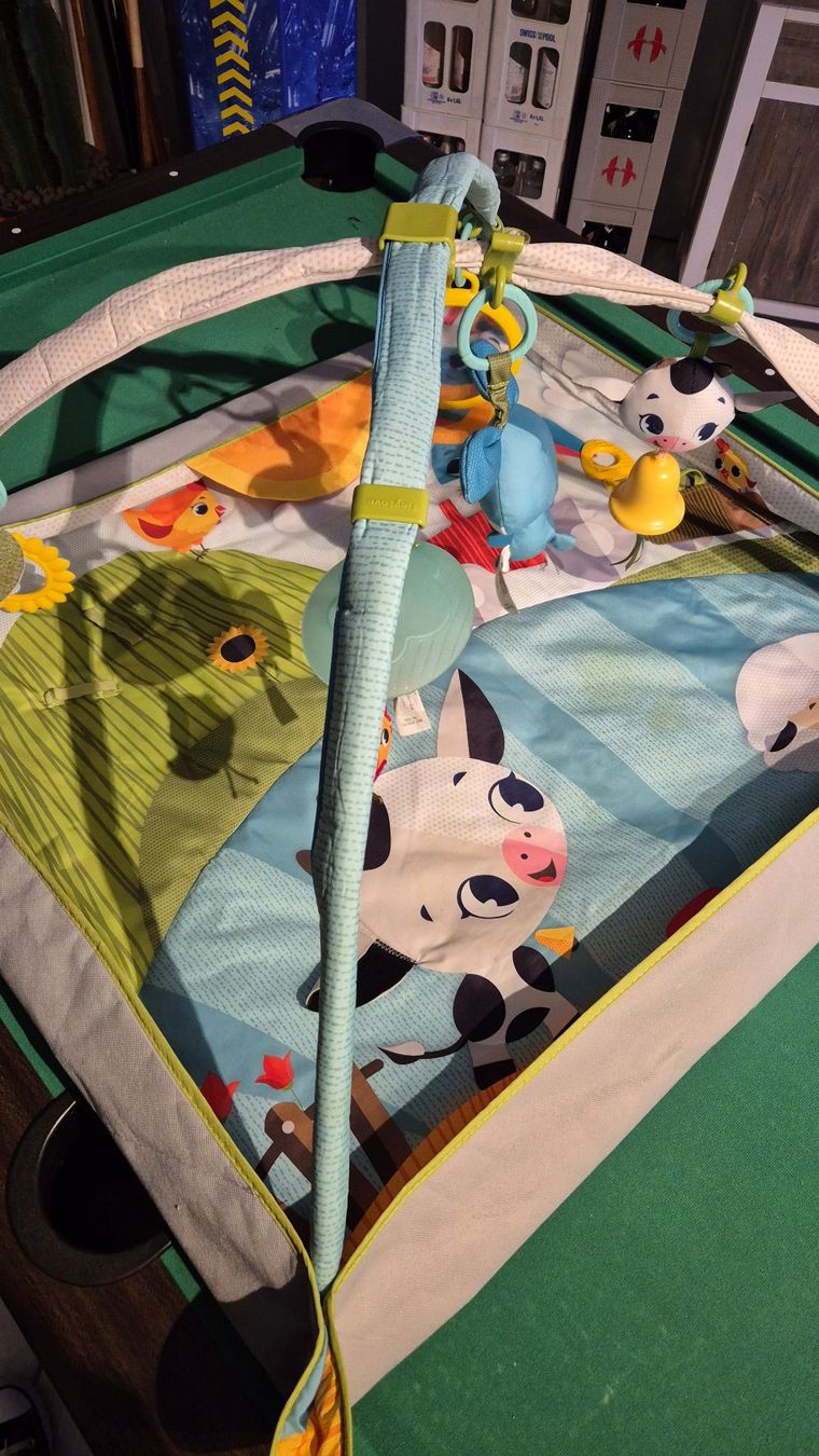 Tappeto da gioco: Tiny Love Activity Gym - Spielbogen, neuwertig! – Usato da Richterswil venduto da hosttech