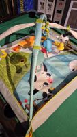 Tiny Love Activity Gym - Spielbogen, neuwertig!