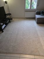 IKEA STOENSE Teppich kurzflor 170x240 cm  Beige