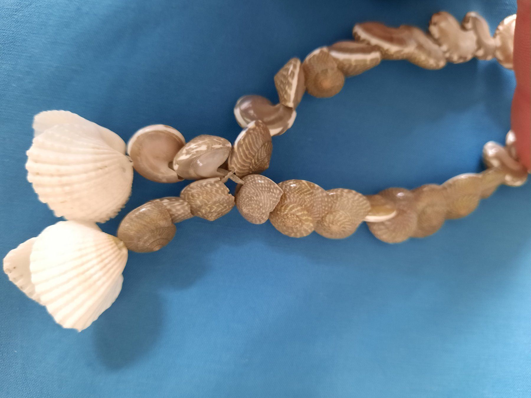 Ketten: Muschelkette, 46cm, neu – Neu (gemäss Beschreibung) aus Herrliberg von AlexandraBopp 2