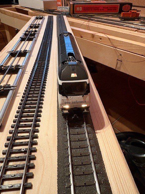 Hag Modellini di ferrovie: HAG Re 460 H0 WS Digital Infirmis – Usato da Regensdorf venduto da Basc 4