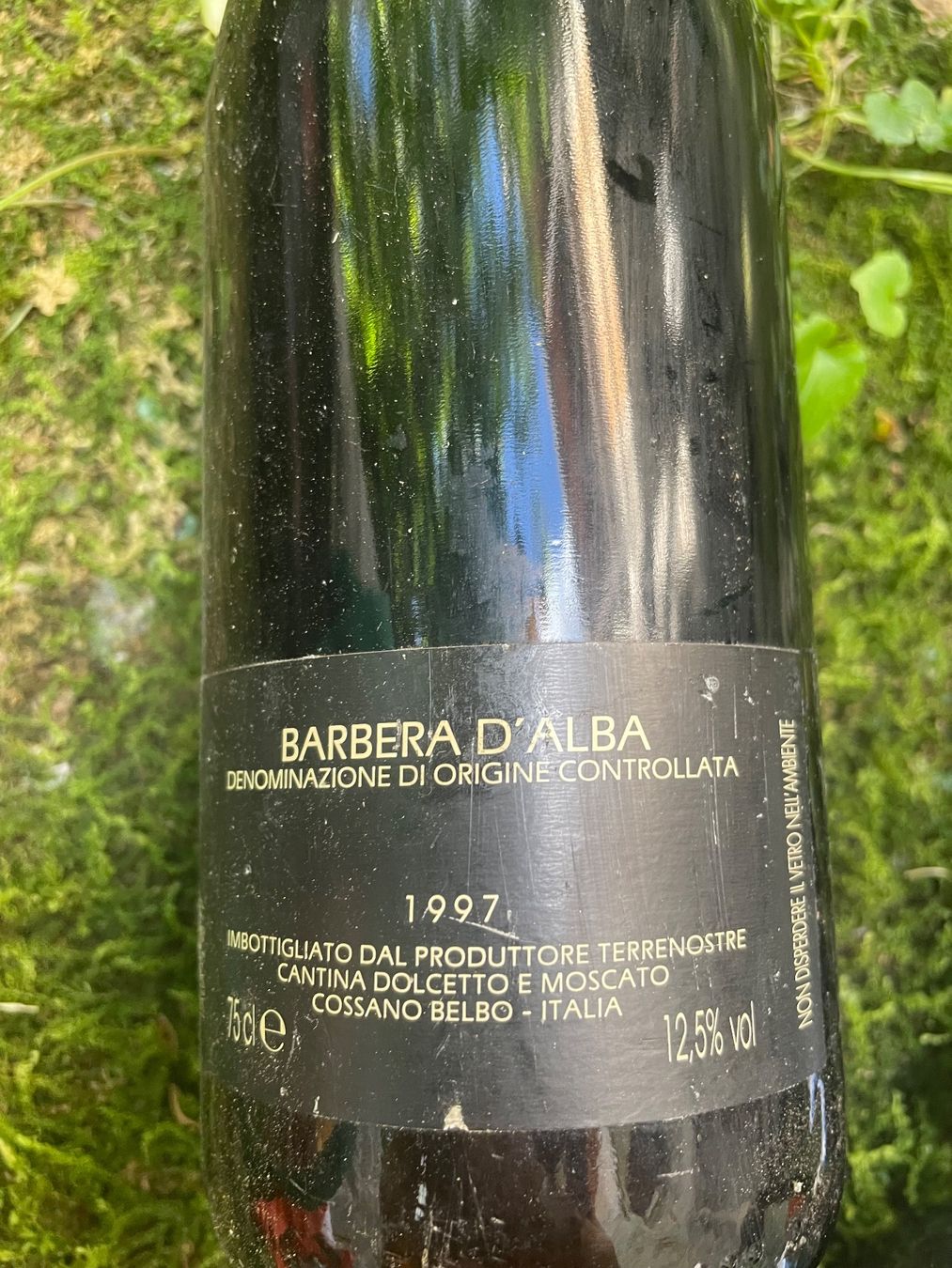 Vino: Barbera d' Alba Terre Nostre  1997 – Nuovo (secondo la descrizione) da Minusio venduto da Pink222 1