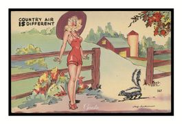 USA - 1940 "Pin-Up Humour" Country Air - Jackson N°367
