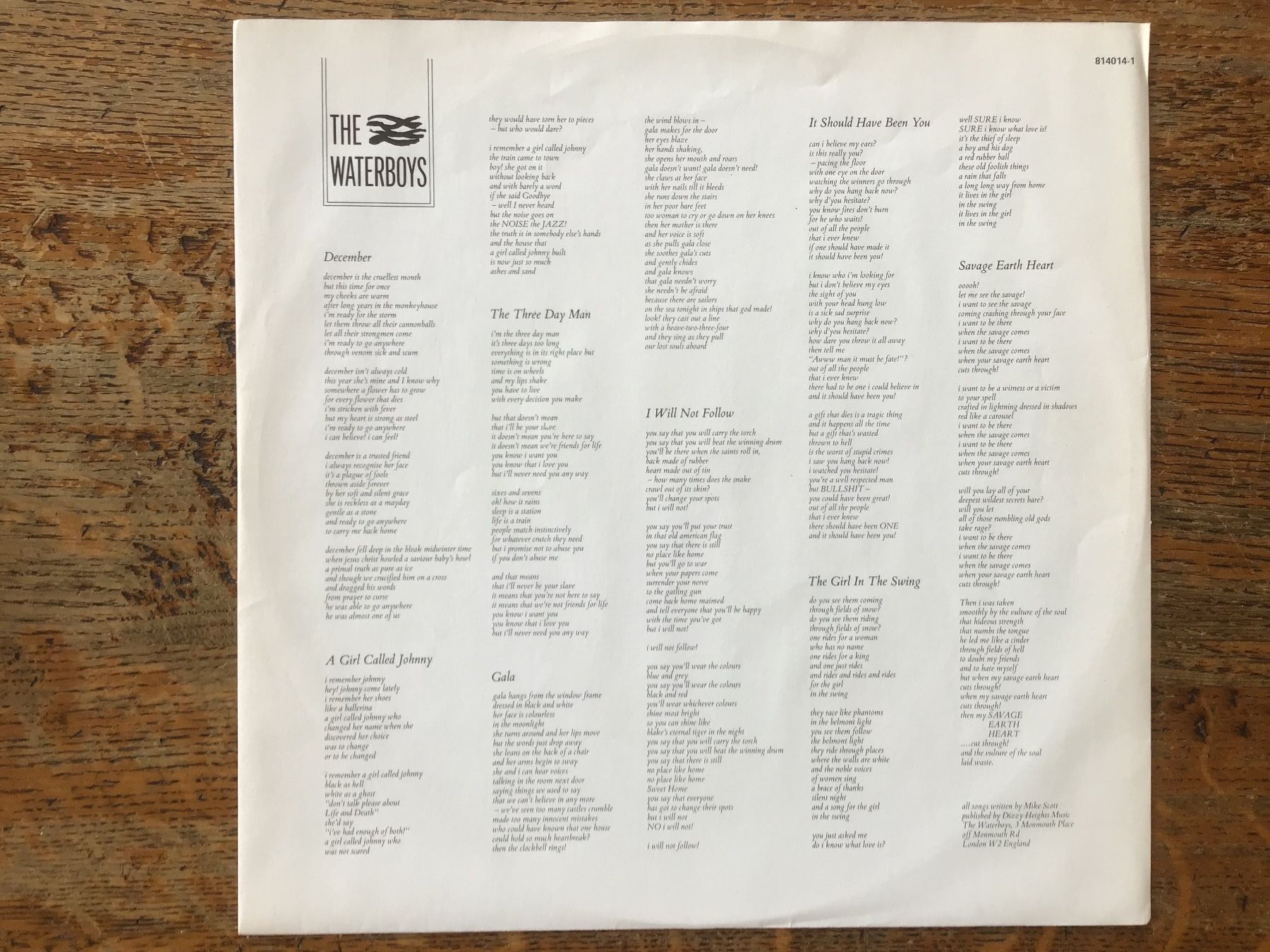 Dischi in vinile: LP The Waterboys – Usato da Fully venduto da Ruby97 2