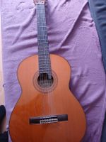 Akusstische Gitarre Washburn