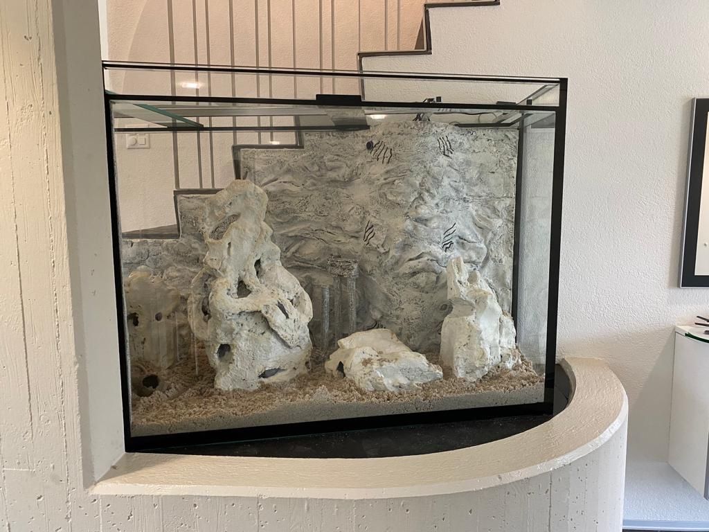 Acquari: Aquarium 1600 Liter – Nuovo (secondo la descrizione) da Berikon venduto da fischundart 4