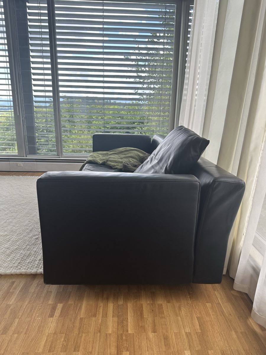Divani: Baleri Italia Sofa  – Usato da Herrenschwanden venduto da Coke_15 1
