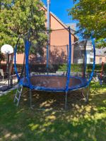 Trampolin mit Sicherheitsnetz und Leiter rund 3m x 2,61m