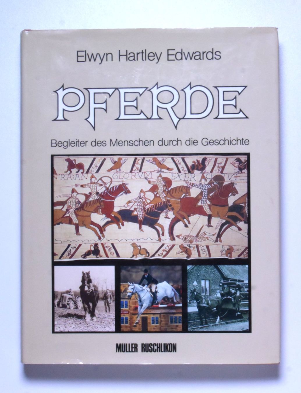 Libri: Konvolut: Pferde, Reiten Kutsche – Usato da Erschwil venduto da taglang 3