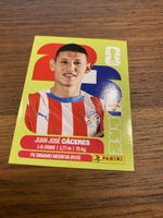 Panini Par 6