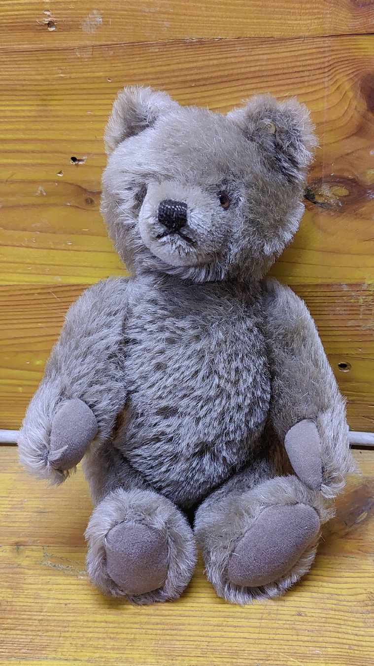 Steiff Giocattoli: Antiker Steiff Teddy, Teddybär (L10) – Usato da Neuenhof venduto da SchnaeppliAllerlei