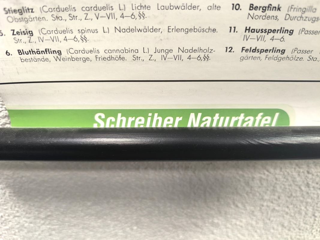 Foto & Immagini: PERTHES - Karte Singvögel – Usato da Rüti ZH venduto da Restwert_Rueti_ZH 3