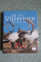Villrein, Rentiere, Wildren