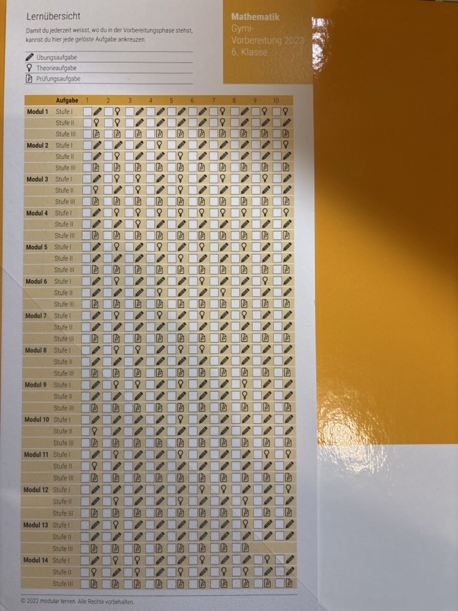 Libri: Mathematik Lernmodule f. Gymnasium  – Usato da Stäfa venduto da Talaso 1