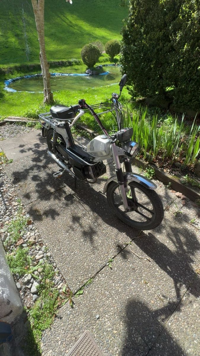 Mofas: PONY 503 GTX KAT – Gebraucht aus Oberriet SG von mat_z8lz 2