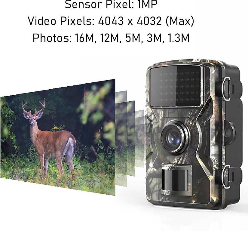 Fotocamera: Wildlife Hunting Trail Camara – Nuovo (secondo la descrizione) da Kreuzlingen venduto da Best-Deal-Oase 2