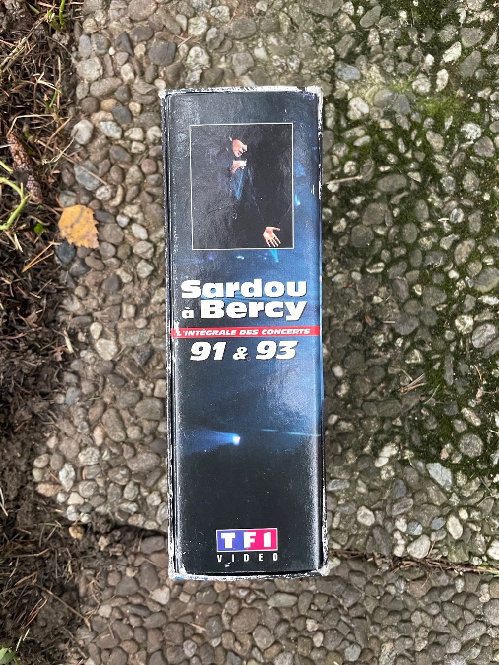 Musicassette: Michel Sardou à bercy. 2 K7 – Nuovo (secondo la descrizione) da Genève venduto da flocon06 1