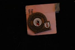 FSV Aesch Jubiläum 100 Jahre PIN