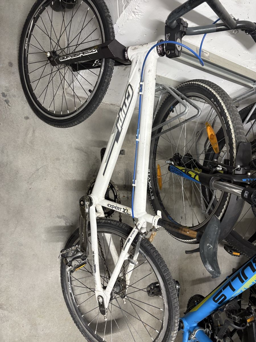 Biciclette: Crupi Expert XL BMX-Rad! – Usato da Winterthur venduto da D_Stoun