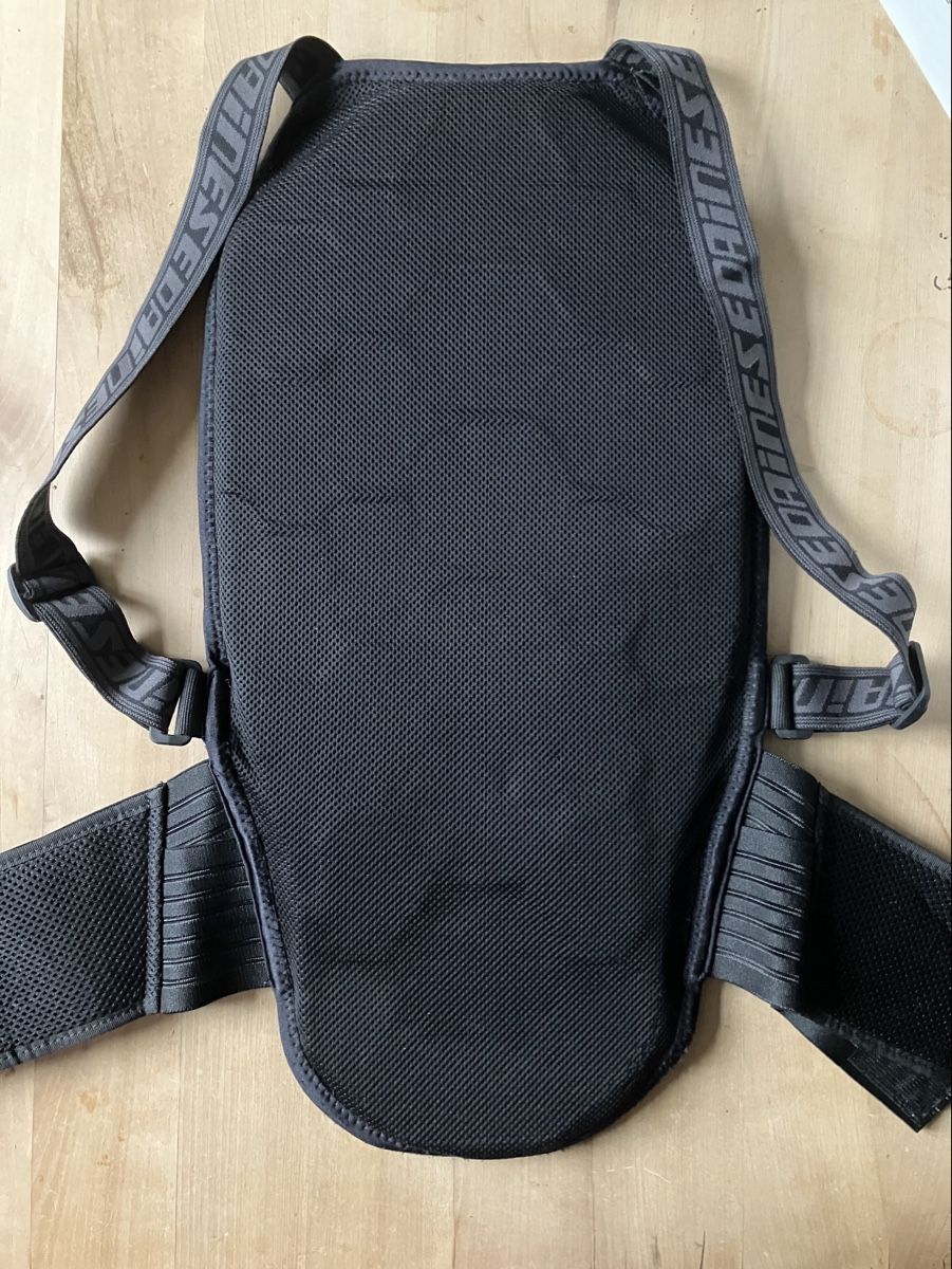 Dainese Schutz & Schoner: Dainese Flexagon Ski-Rückenprotektor – Gebraucht aus Schaffhausen von bisegli 1