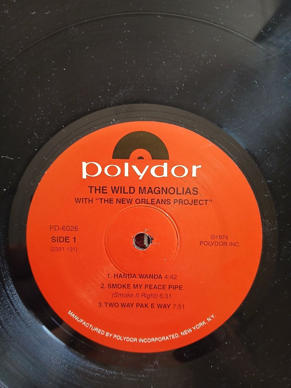 Dischi in vinile: The Wild Magnolias  – Nuovo (secondo la descrizione) da Lausanne venduto da Soulbrother 4